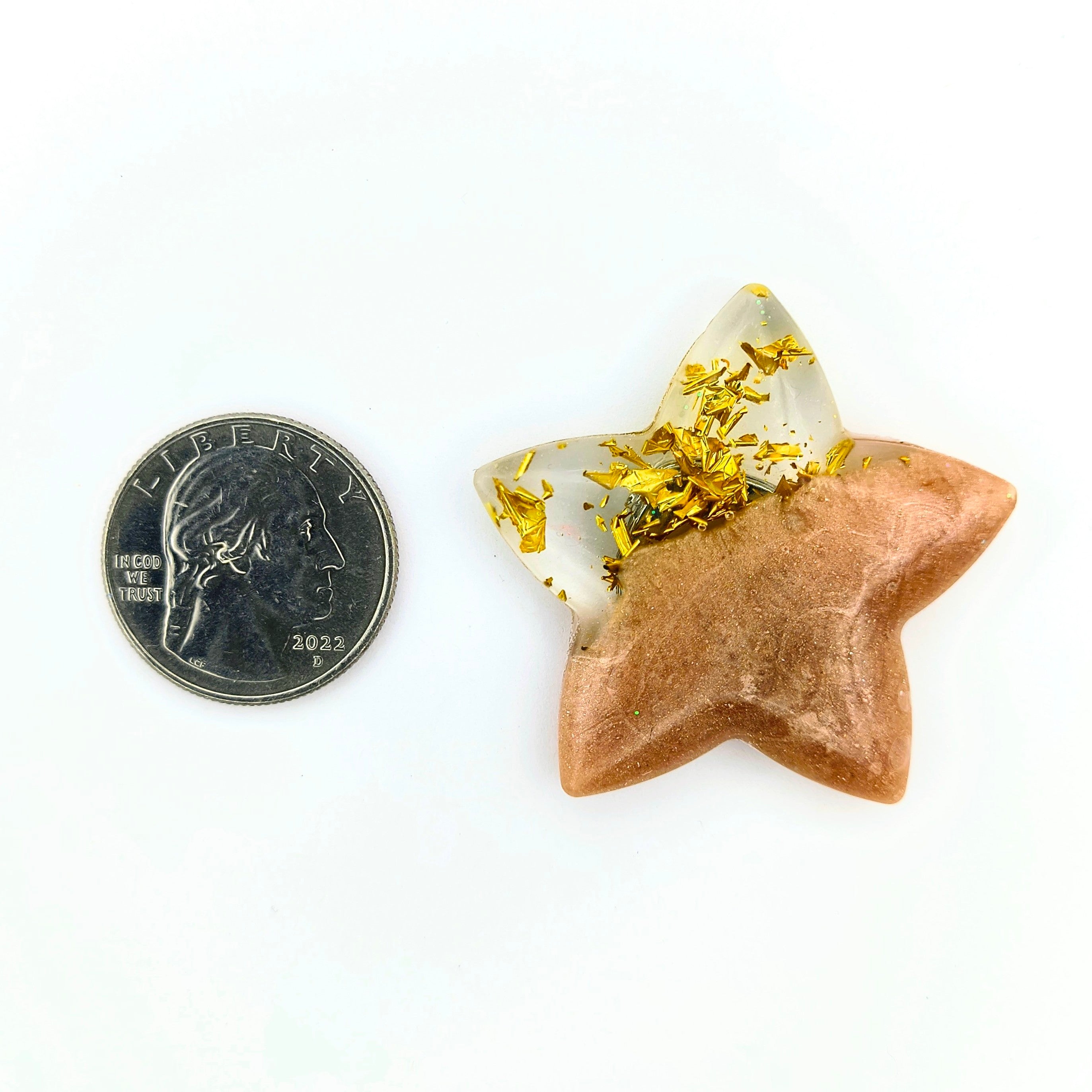 1pc Star Coverminder