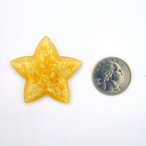 1pc Star Coverminder